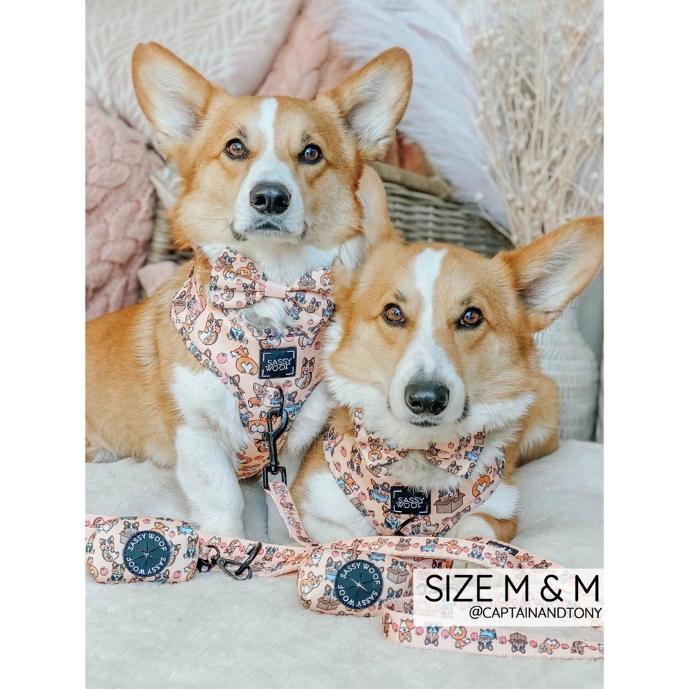 Sassy Woof Corgilicious Large Dog Harness - Picture 8 of 16